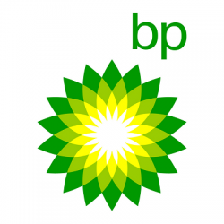 9. bp logo